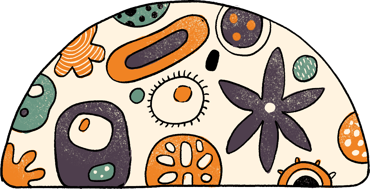 O-ILO_Cells